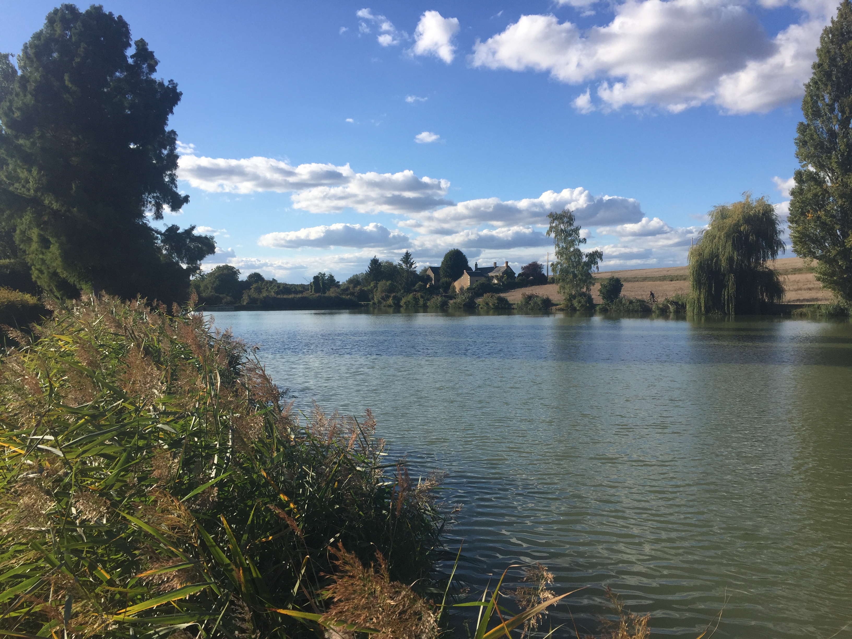 Etang des Arguillonnières