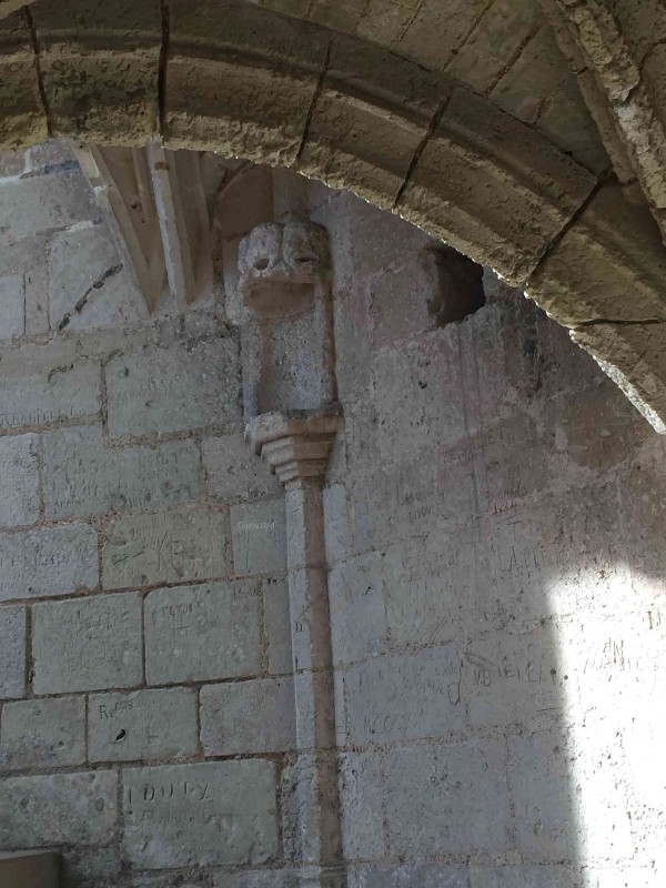 Ruines du château de Lavardin