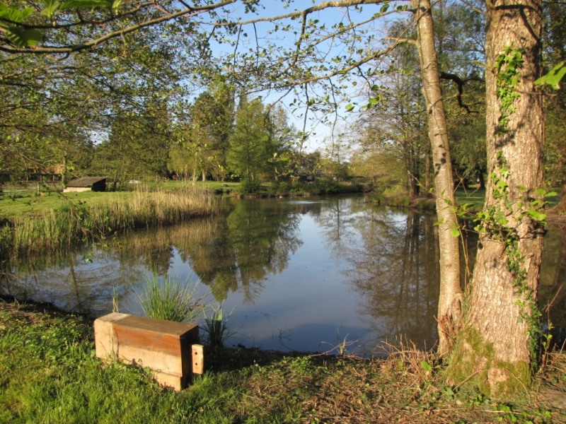 La grange aux herbes, Thoury - photo 7