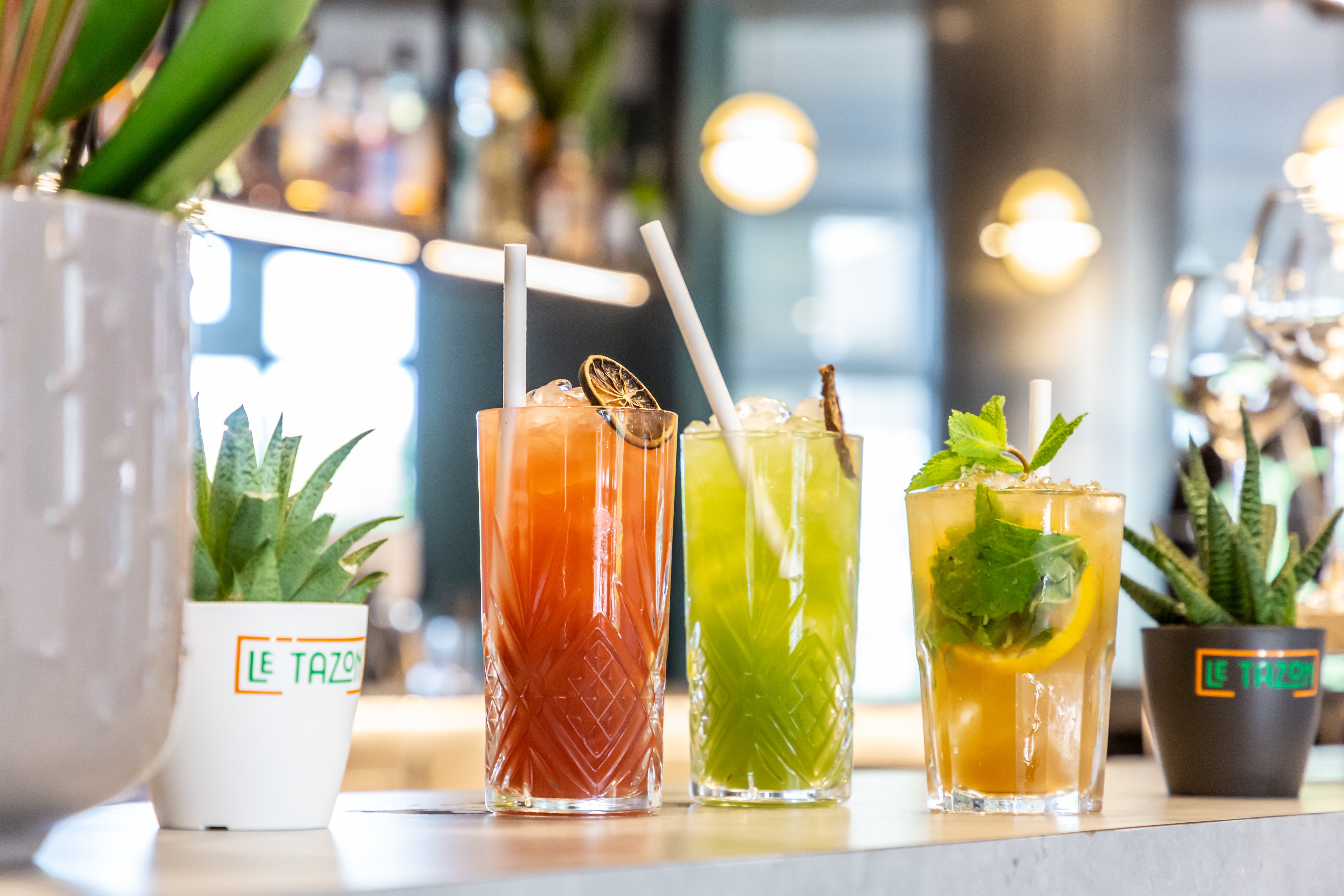 Le Tazon, Le Subdray - photo 20