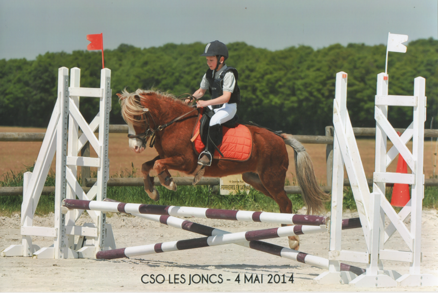 Centre équestre Les Joncs