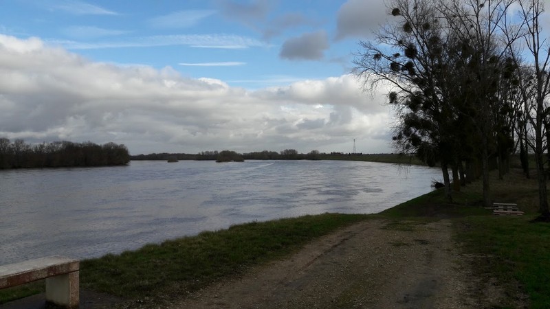 Promenade des Deux Ponts A29, Châteauneuf-sur-Loire - photo 8