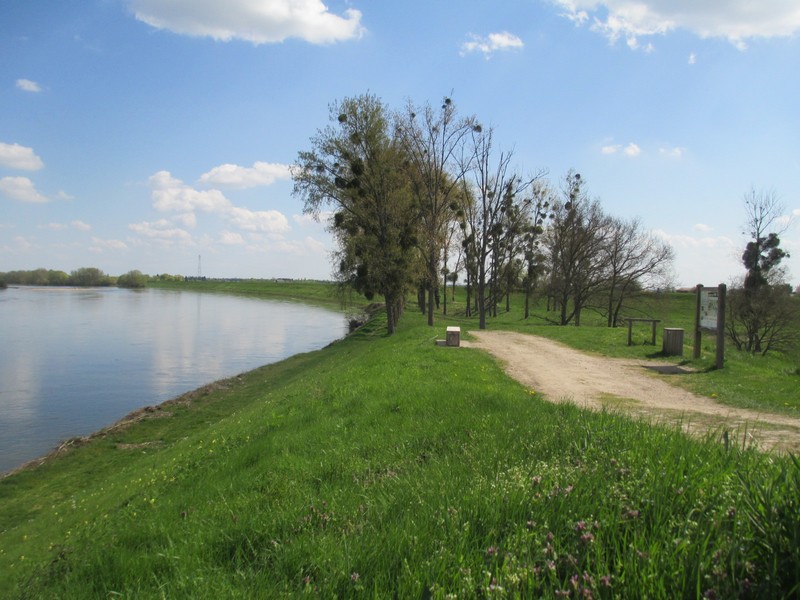 Aire de pique-nique du Fer à Cheval d'Ouvrouër-les-Champs, Ouvrouer-les-Champs - photo 3