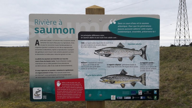 Aire de pique-nique du Fer à Cheval d'Ouvrouër-les-Champs, Ouvrouer-les-Champs