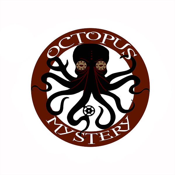 Escape Game - Octopus Mystery  France Centre-Val de Loire Cher Saint-Amand-Montrond 18200