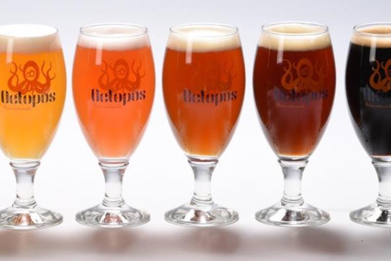 Bières Octopus - photo 3