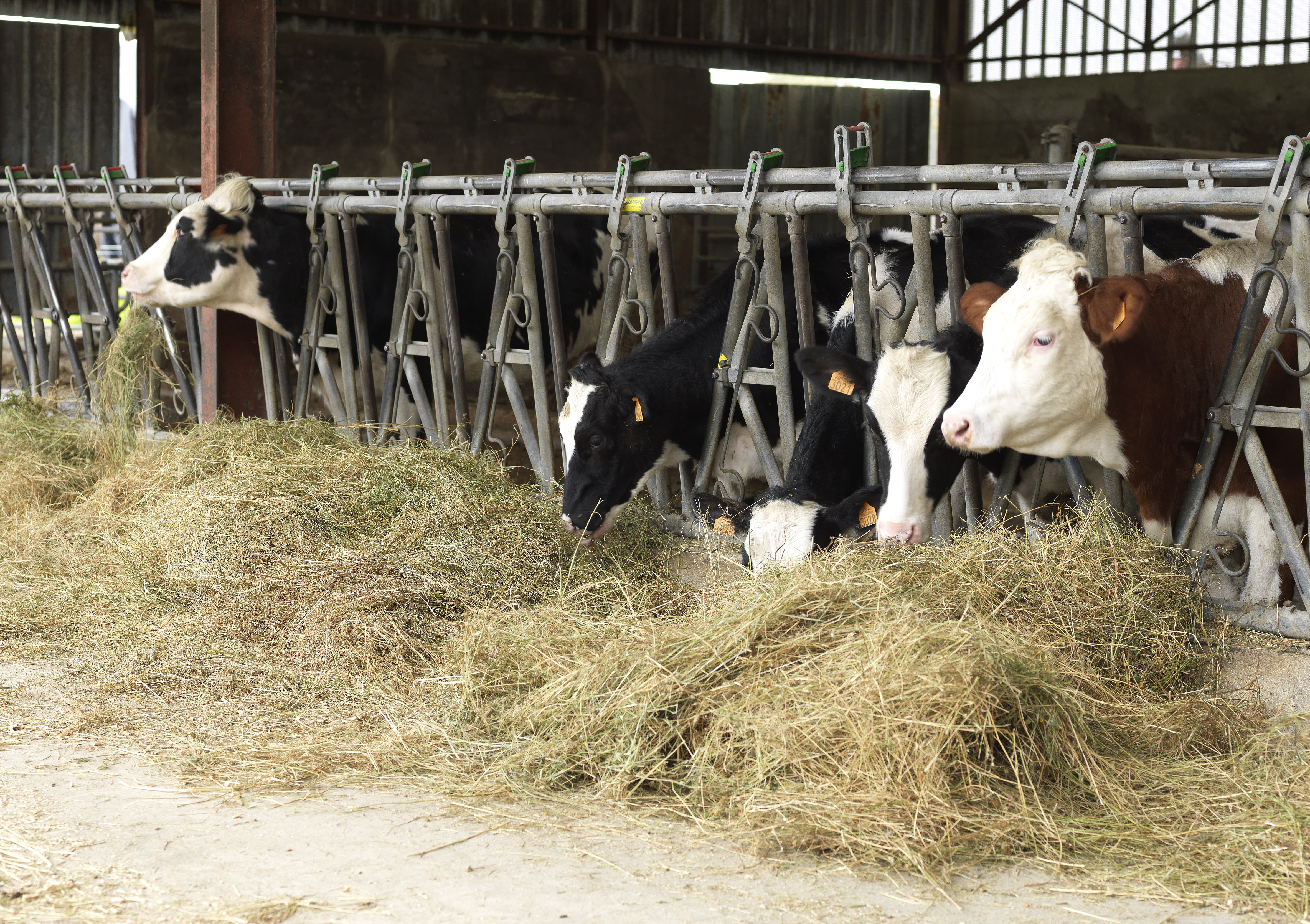La Fromagerie de Lucie