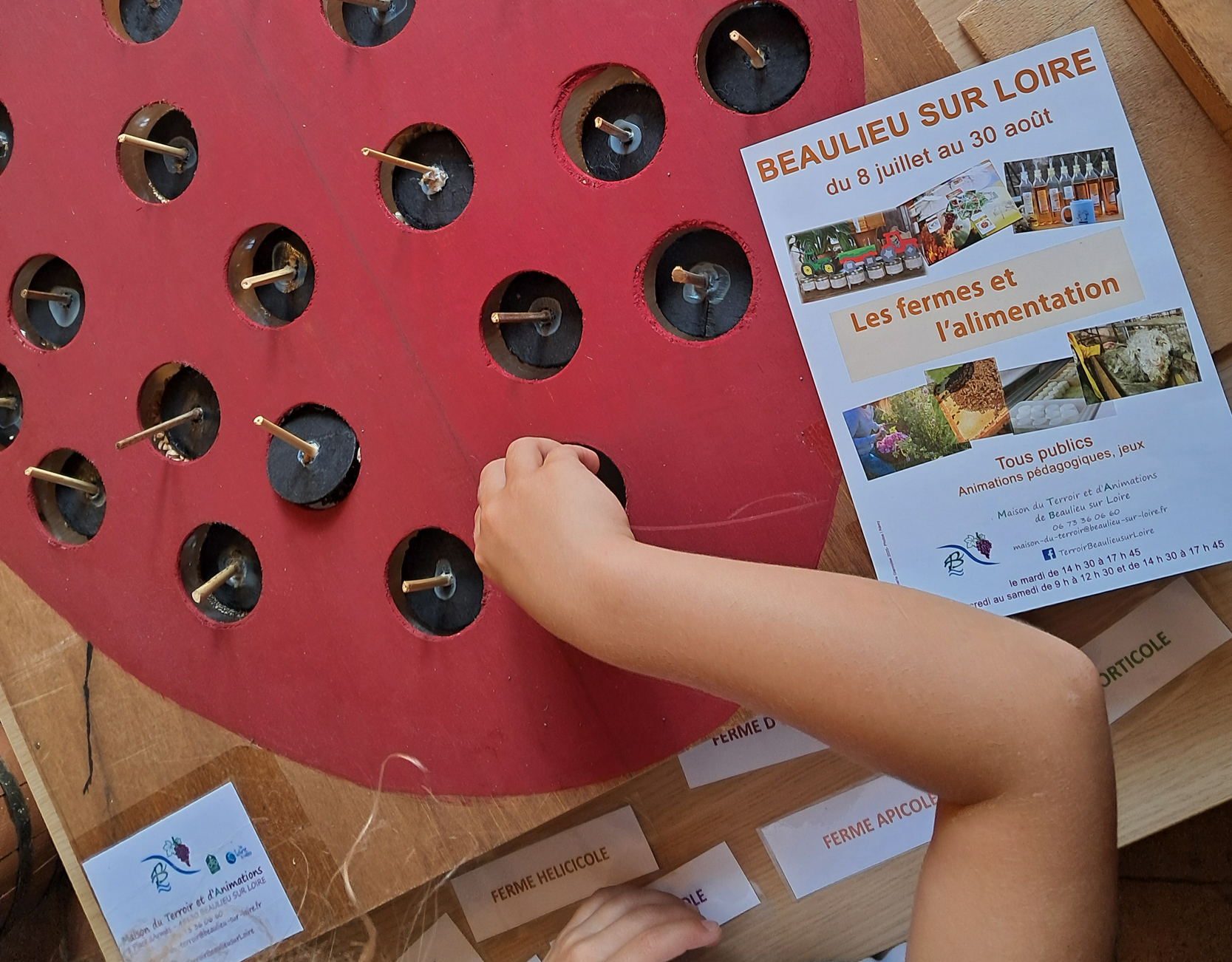 Animation de l'été "Productions locales, un lien avec le monde végétal" - photo 2