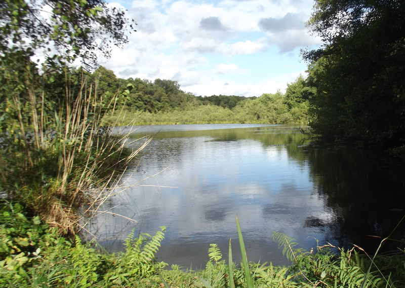 Circuit de l'étang des Bois