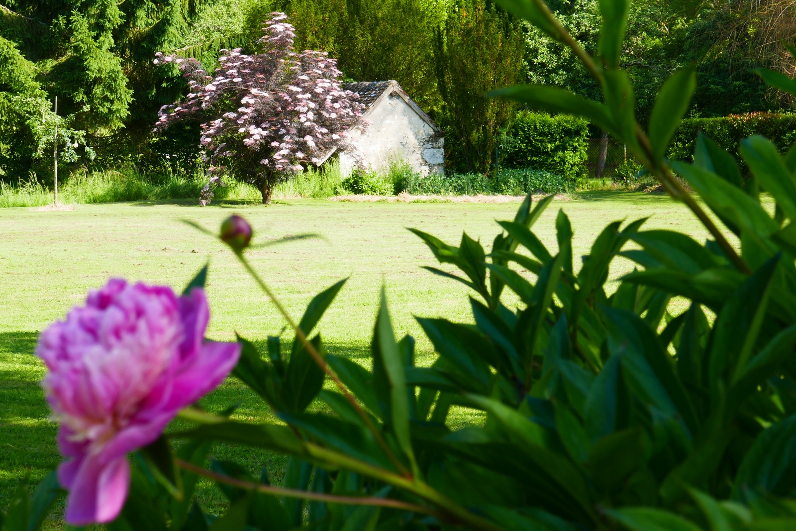 Domaine d'Adon, Adon - photo 8