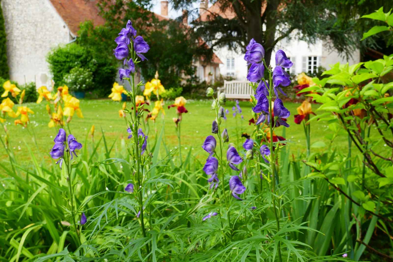 Domaine d'Adon, Adon - photo 19