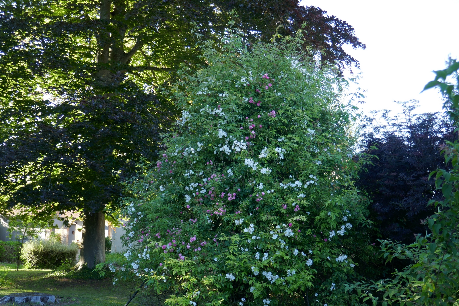 Domaine d'Adon, Adon - photo 14