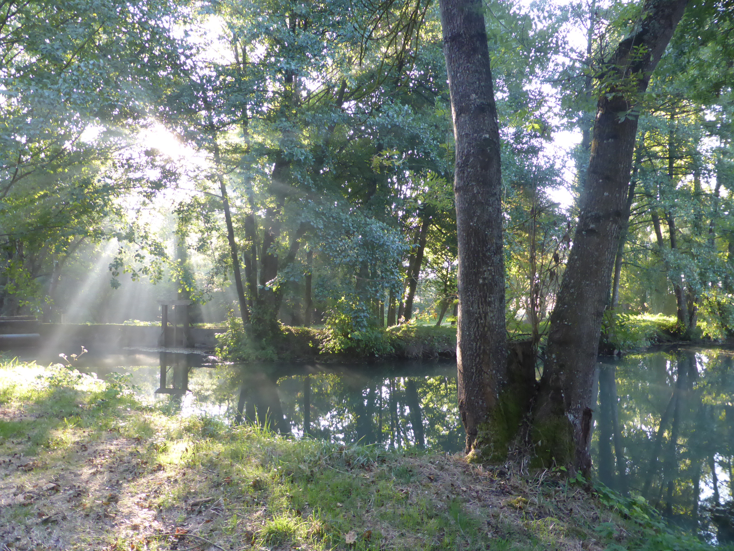 Aire de pique-nique de l'étang de Jobert, Quiers-sur-Bezonde - photo 2