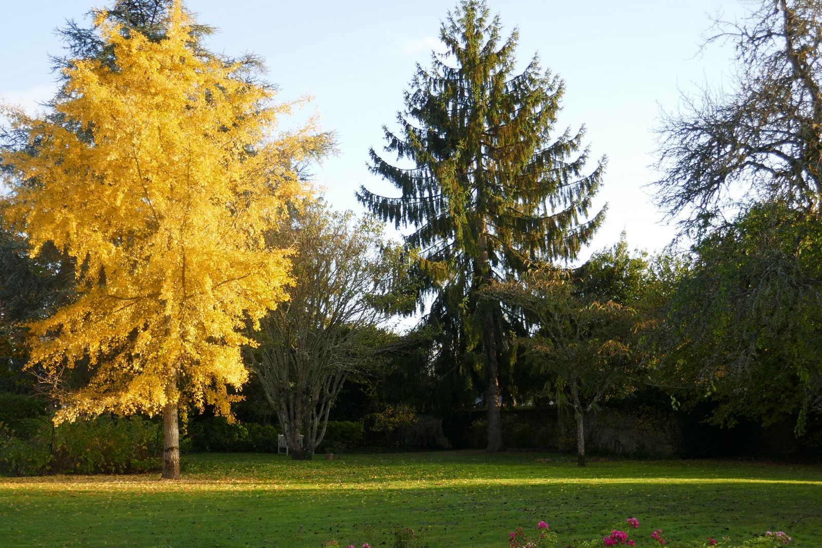 Domaine d'Adon, Adon - photo 15