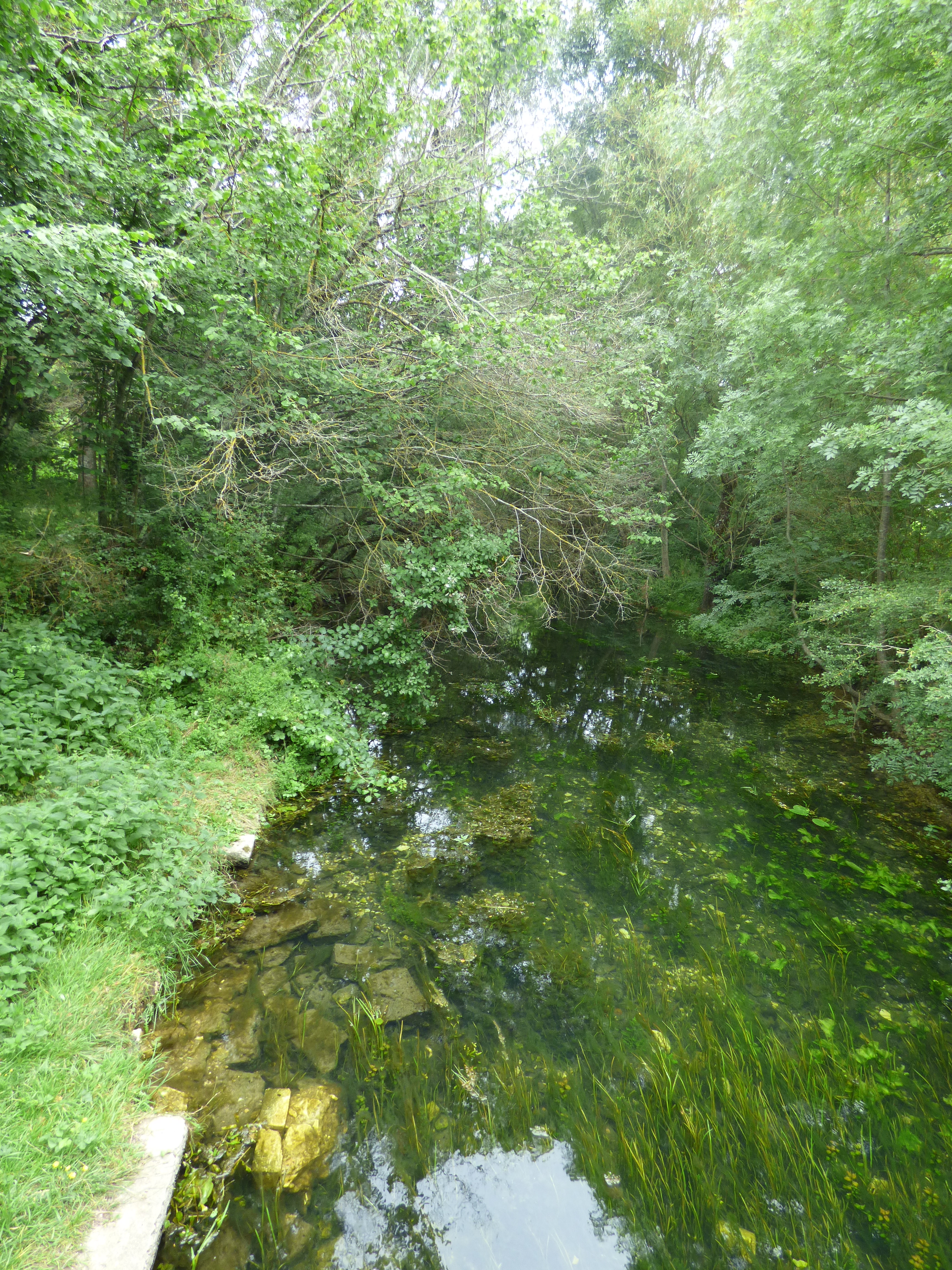 Pêche dans Le Liennet