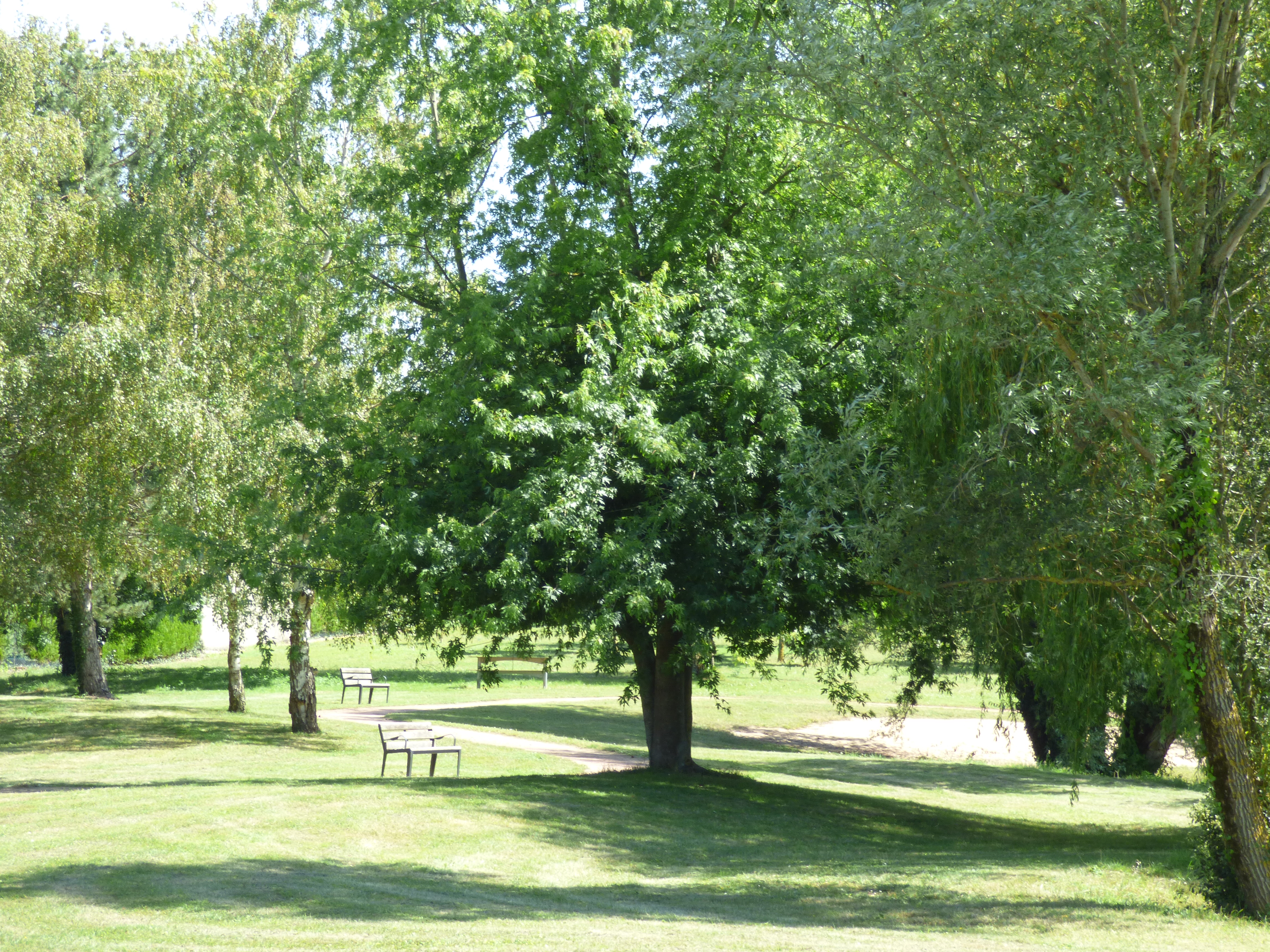 Plan d'eau de Saint-Aoustrille — photo 2