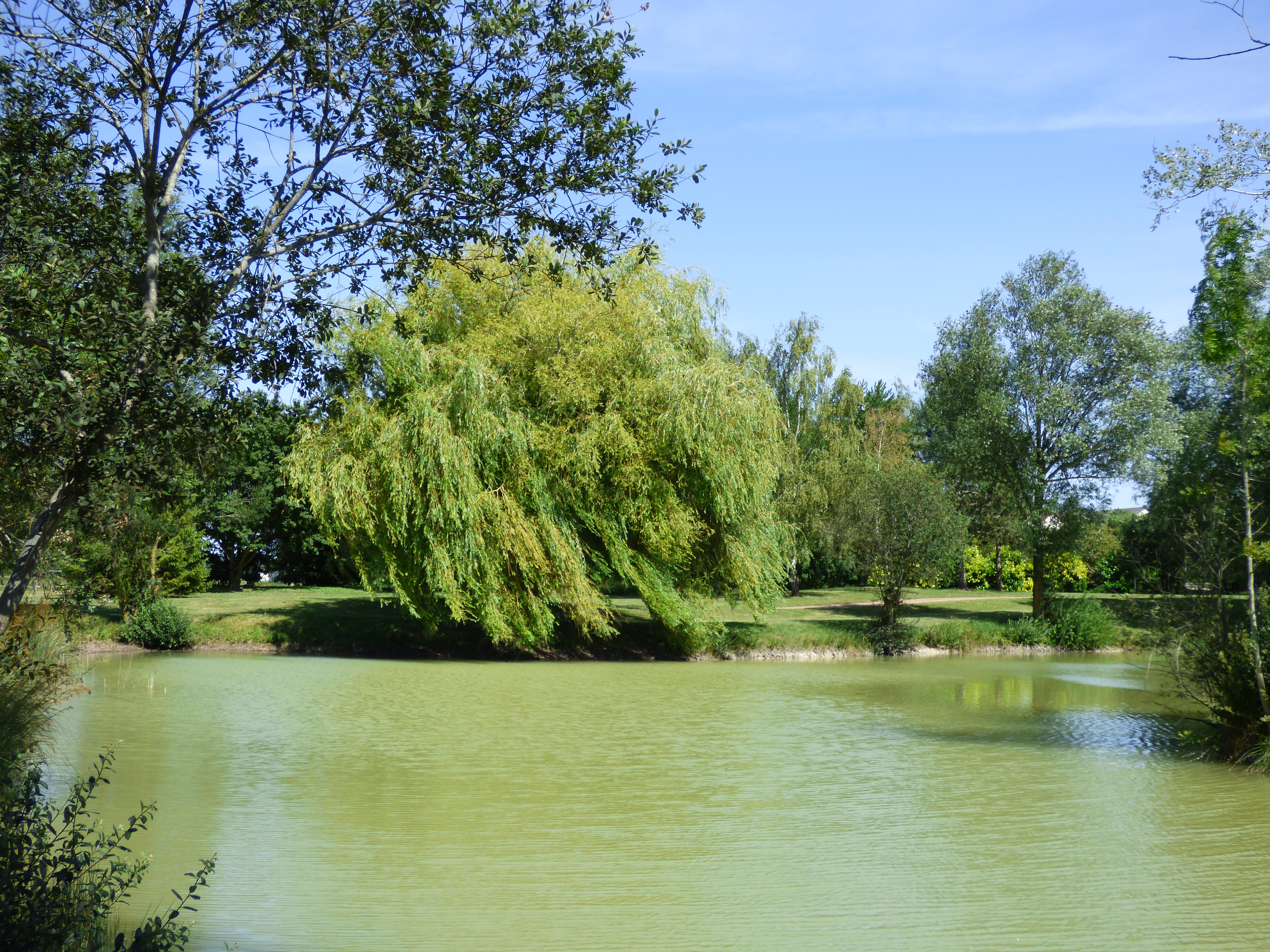 Plan d'eau de Saint-Aoustrille