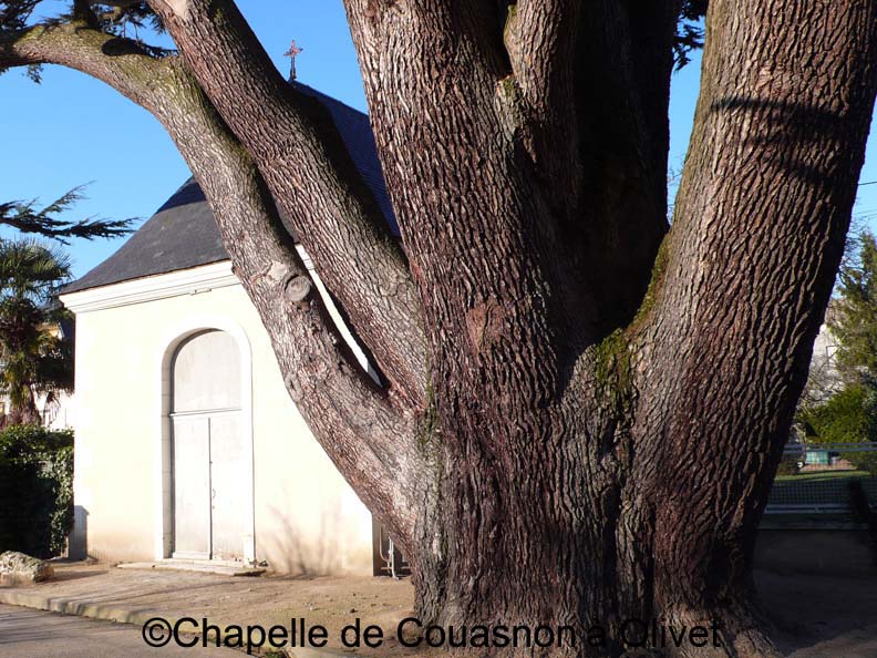 Chapelle de Couasnon  France Centre-Val de Loire Loiret Olivet 45160