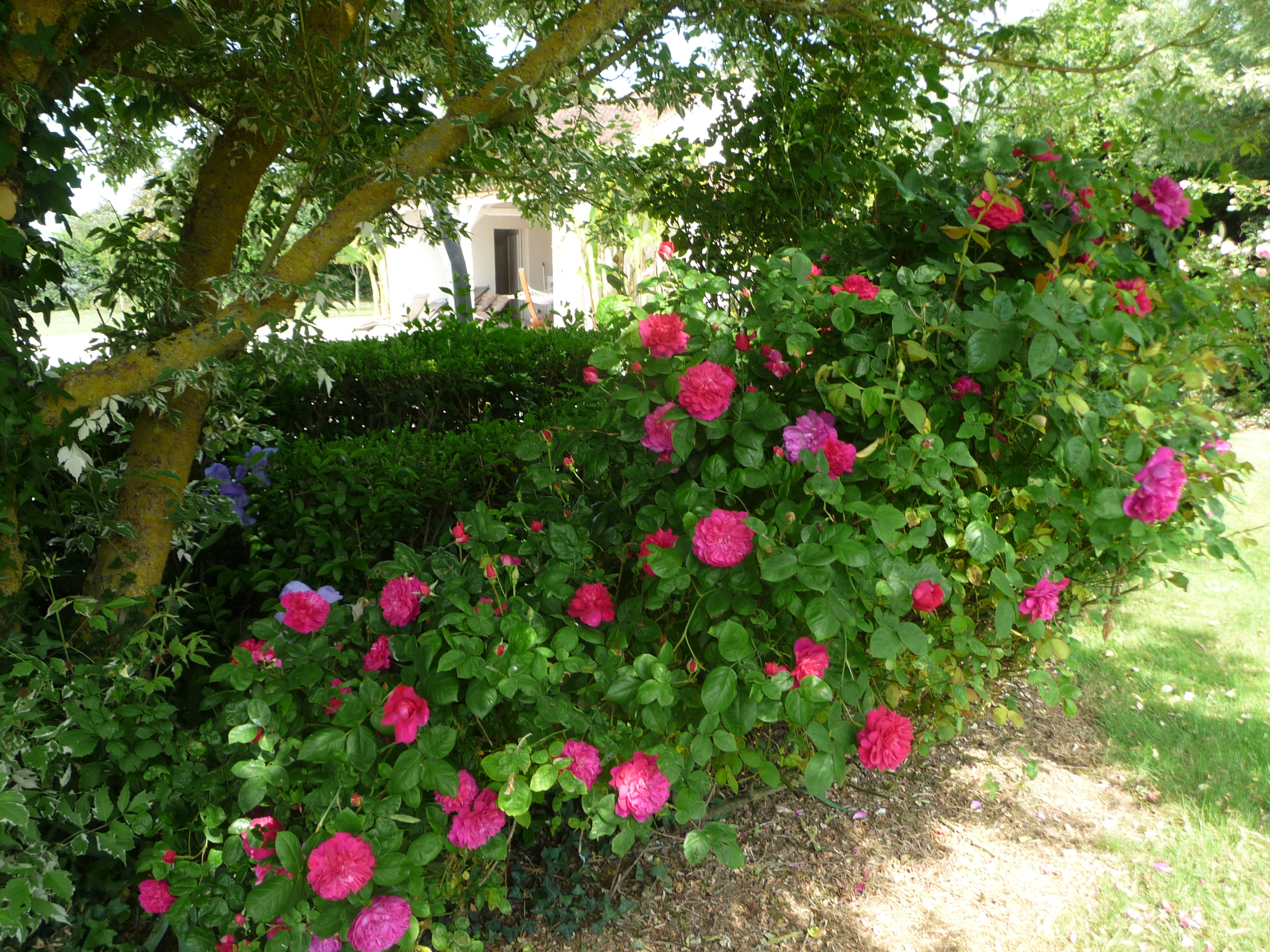 Gîte "La Maison de Philomène", Civray - photo 3
