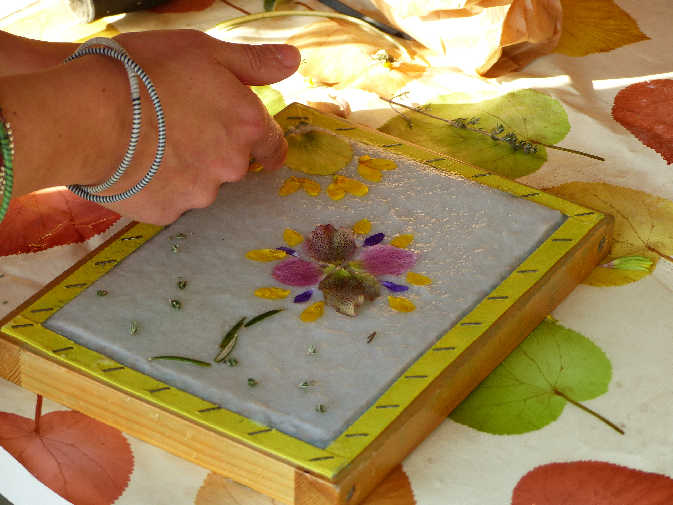 Atelier de pratique artistique Papiers & végétal, Le Malesherbois - photo 2