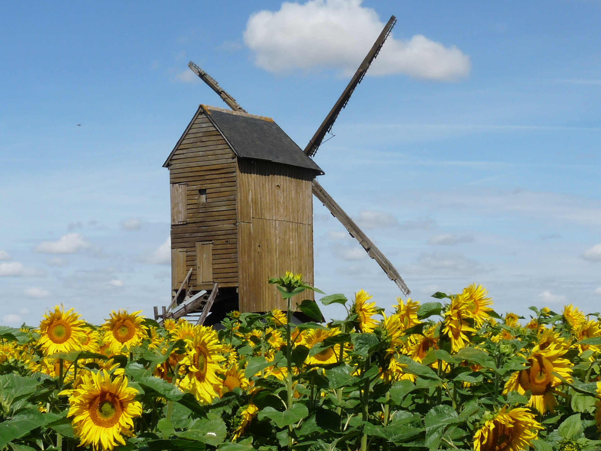 Moulin à vent Gaillardin, Chapelon - photo 2