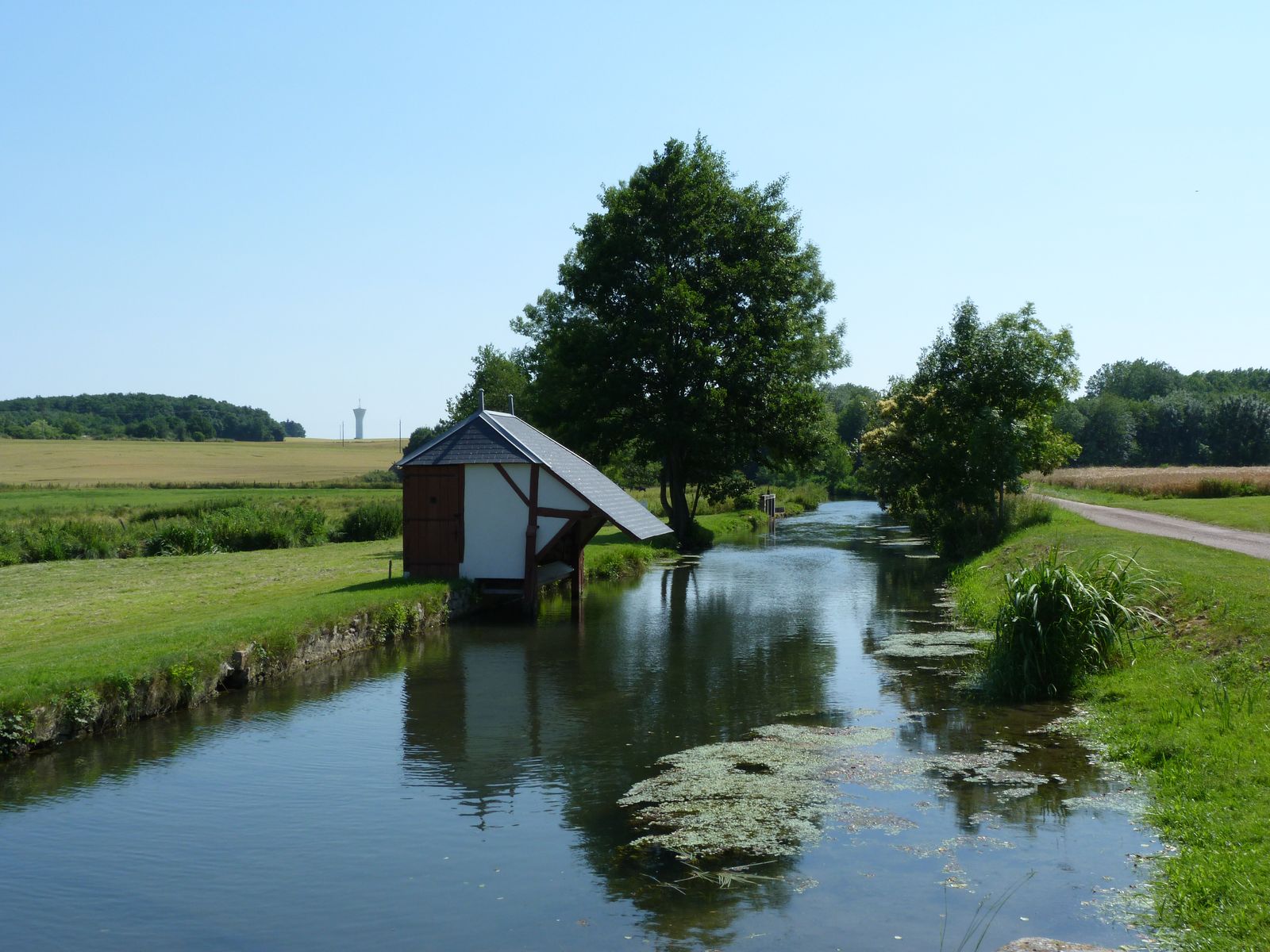 GR® 132 - de Griselles à Courtenay, Griselles