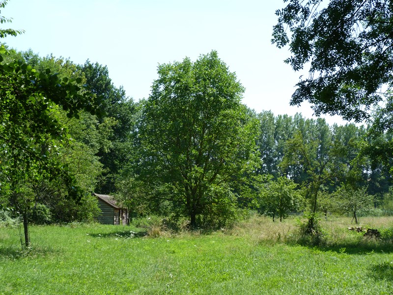 Circuit des moulins de la Cléry, Courtemaux - photo 5