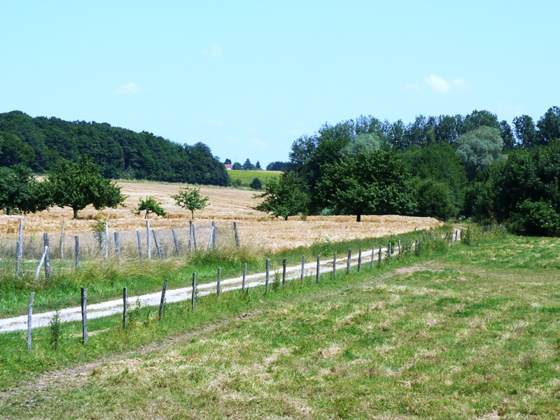 Circuit des moulins de la Cléry, Courtemaux - photo 7
