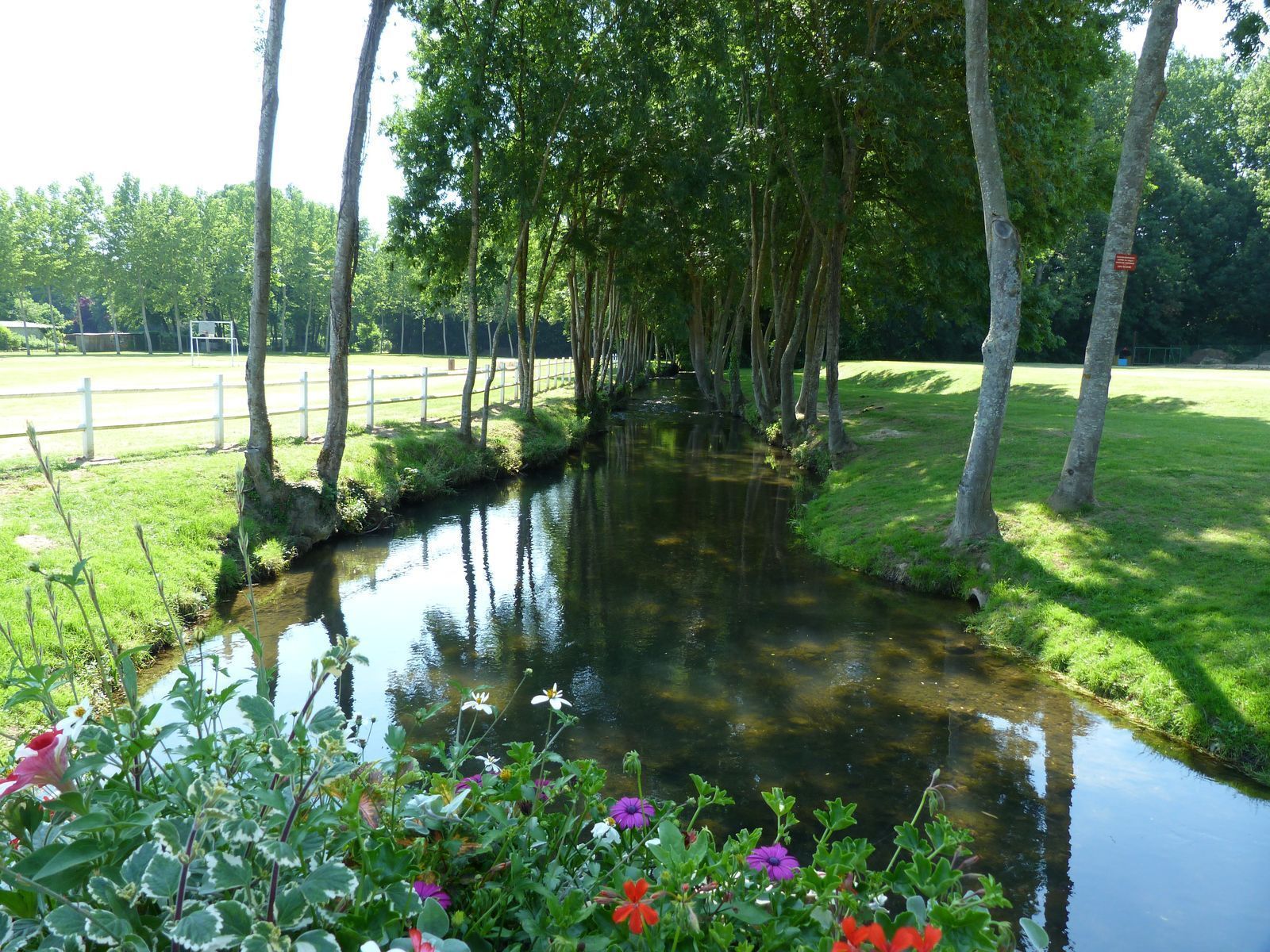 GR® 132 - de Griselles à Courtenay