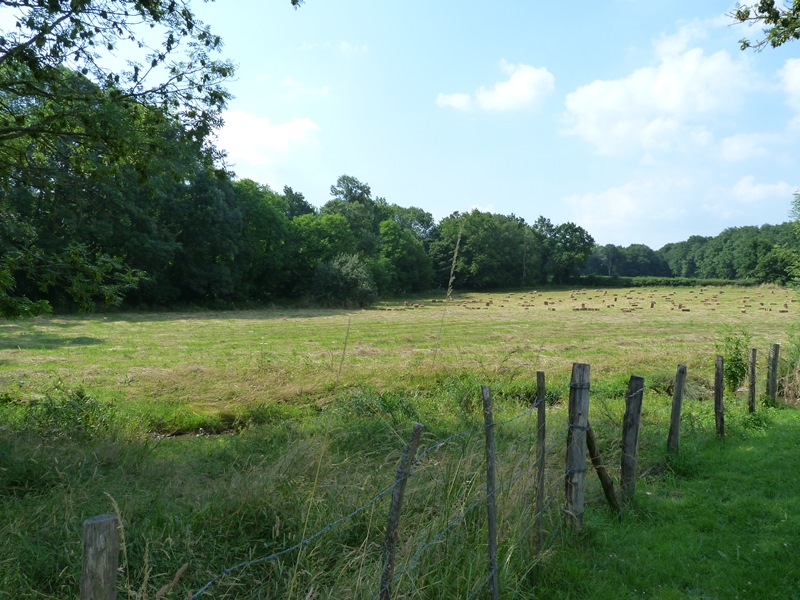 Circuit "Les quatre ponts", Bazoches-sur-le-Betz - photo 5
