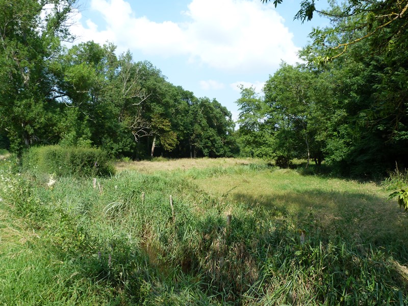 Circuit "Les quatre ponts", Bazoches-sur-le-Betz - photo 7