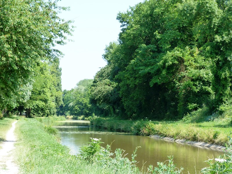 Carrefour d'Alger A20, Fay-aux-Loges - photo 2