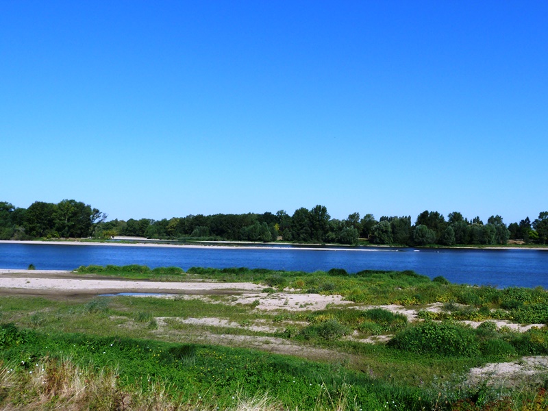 PR à la rencontre des oiseaux migrateurs, Sully-sur-Loire - photo 2