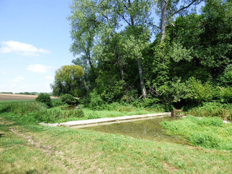 Les sources de la Théols, Bommiers - photo 6