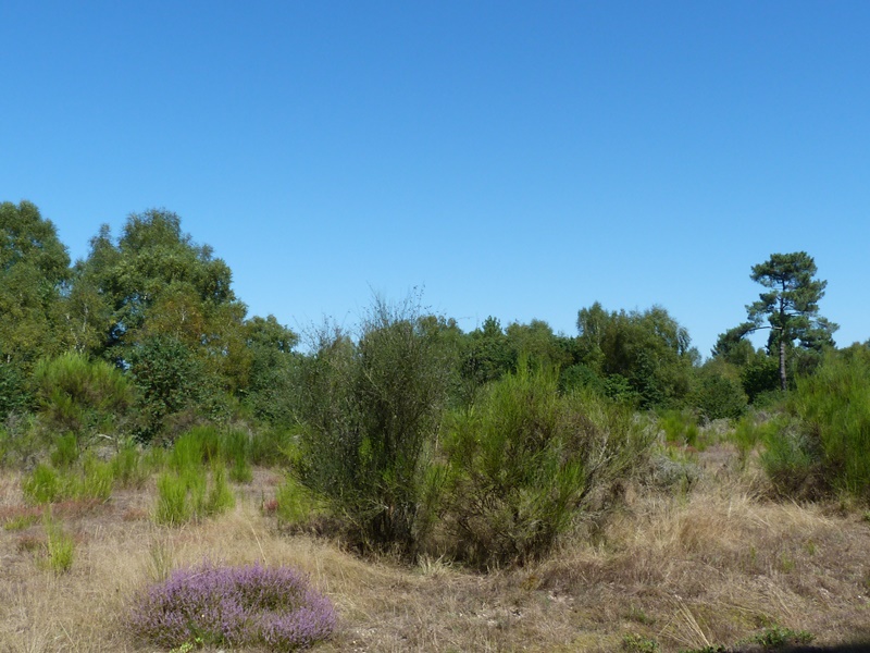 Circuit de l'étang du Puits