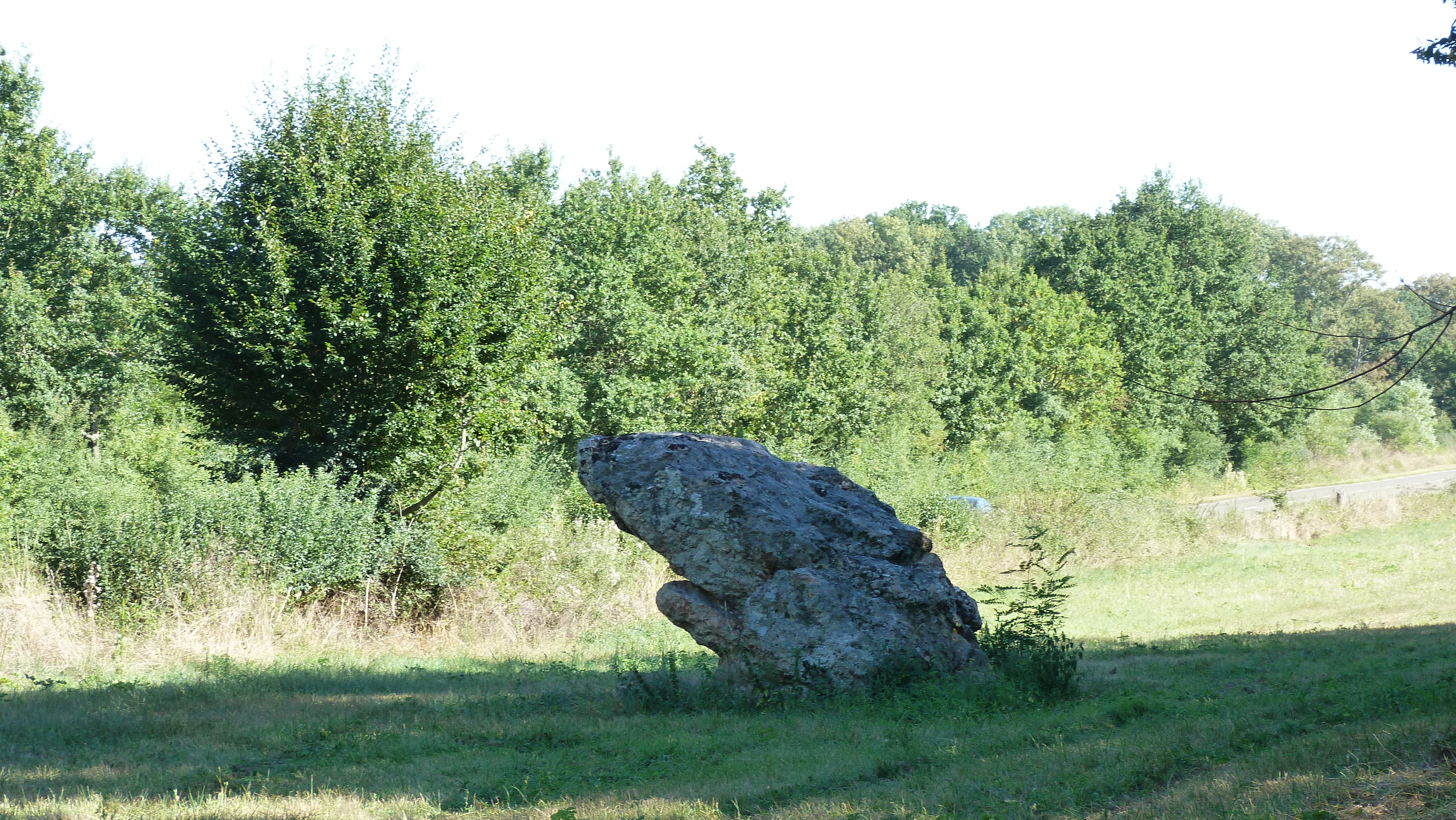 Lion-en-Sullias, Lion-en-Sullias