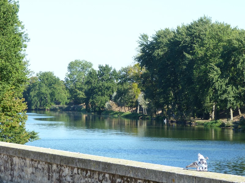 PR à la rencontre des oiseaux migrateurs