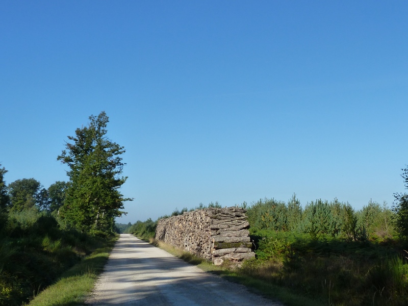 Chemin de l'Arboretum, Ingrannes - photo 2
