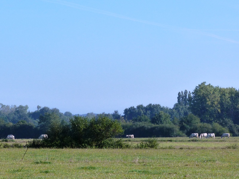 Chemin de l'Arboretum, Ingrannes