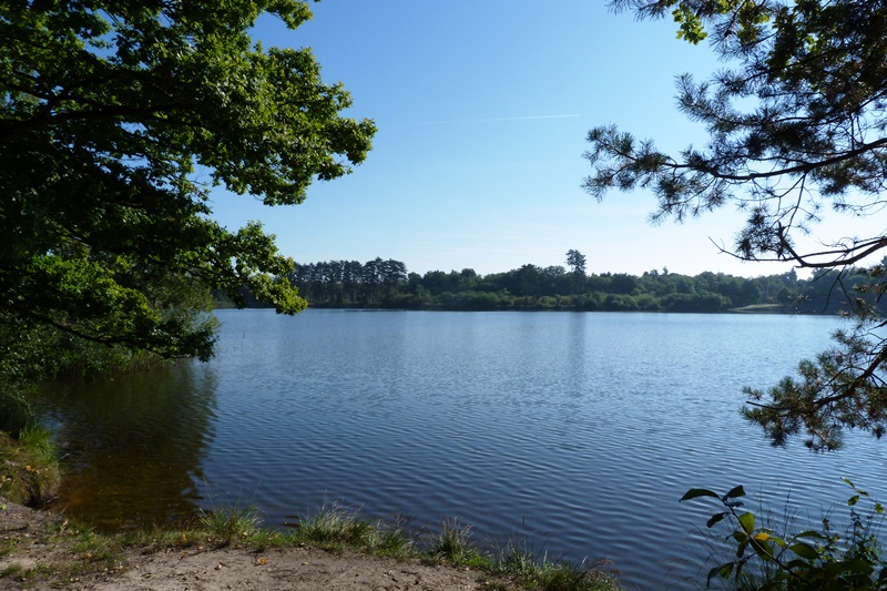 Circuit de l'étang du Crot aux Sablons, Vitry-aux-Loges - photo 4