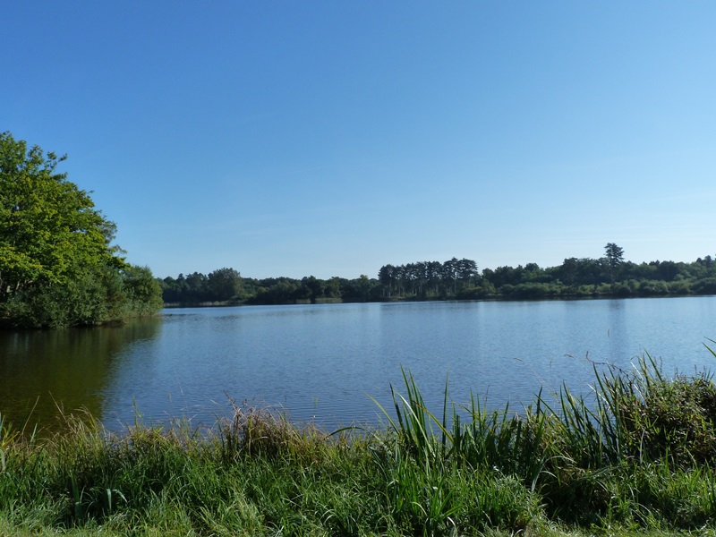Canal et Brin d'Amour A3, Sury-aux-Bois - photo 7