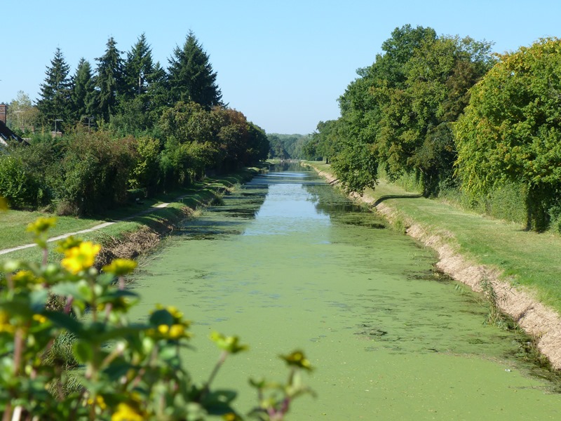 Circuit Attelage de l'étang de la Vallée, Vitry-aux-Loges - photo 4