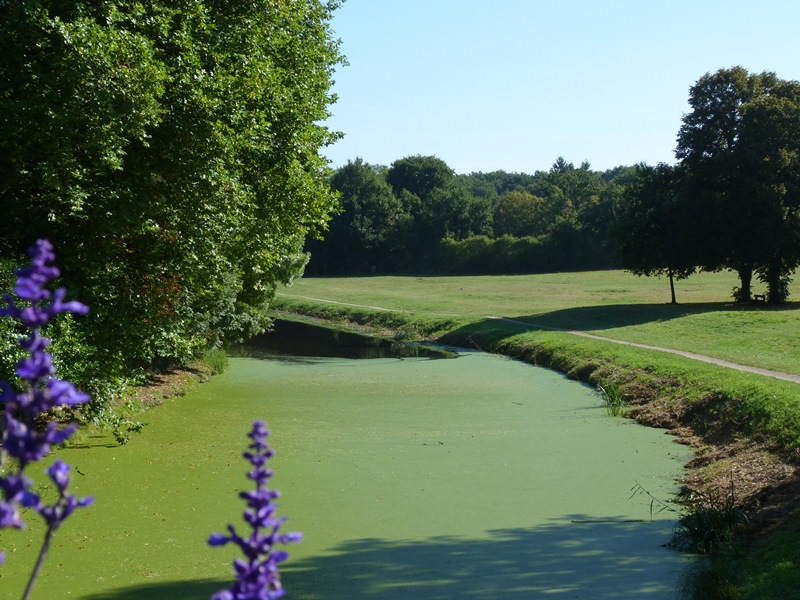 Circuit Attelage de l'étang de la Vallée, Vitry-aux-Loges - photo 2