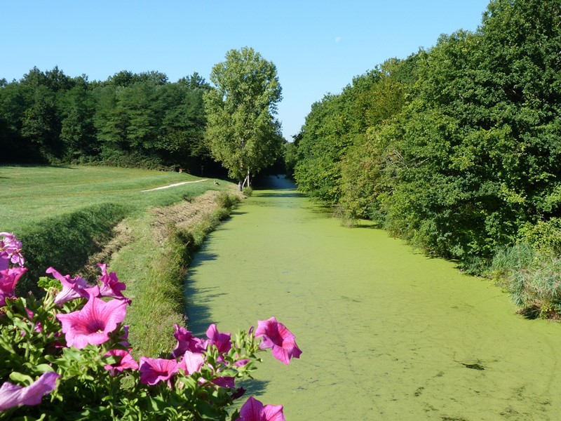 Circuit de l'étang du Crot aux Sablons, Vitry-aux-Loges - photo 5