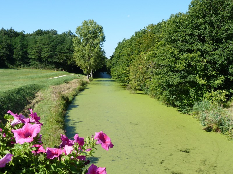Canal et Brin d'Amour A3, Sury-aux-Bois