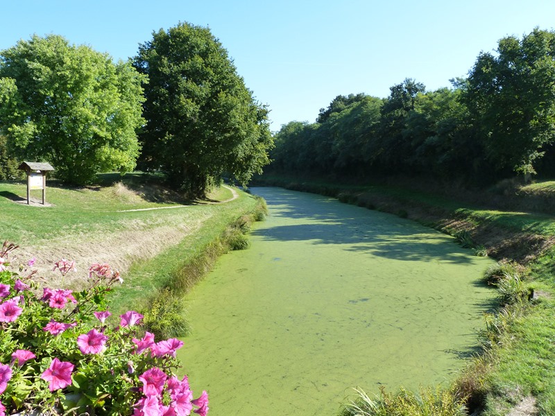 Circuit de l'étang du Crot aux Sablons, Vitry-aux-Loges - photo 2