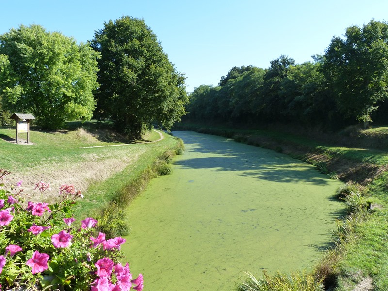 Canal et Brin d'Amour A3, Sury-aux-Bois - photo 10