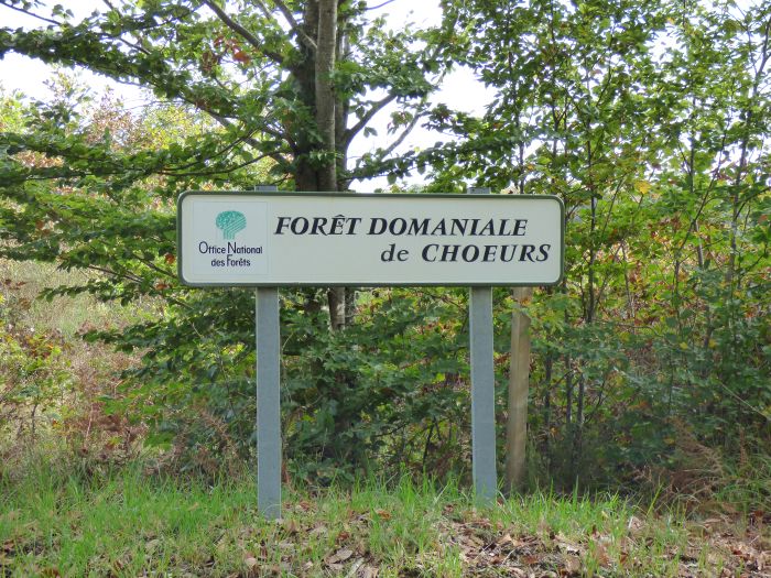 Massif forestier de Choeurs-Bommiers