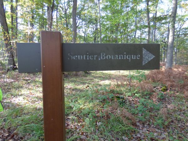 Massif forestier de Choeurs-Bommiers