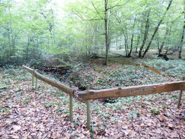 Massif forestier de Choeurs-Bommiers
